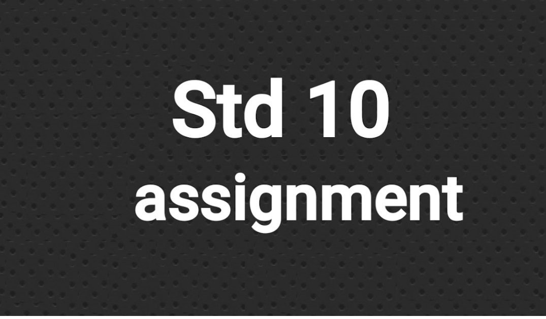 std 10 assignment 2023 pdf